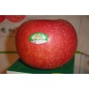 有機(jī)蘋果