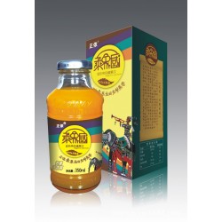 廠家熱銷正儂乘象國果汁350ml|鄭州飲料廠家|果汁飲品