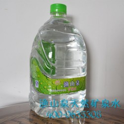誠(chéng)信廠家專業(yè)供應(yīng)高品質(zhì)天然礦泉水 漁山泉養(yǎng)生礦泉水