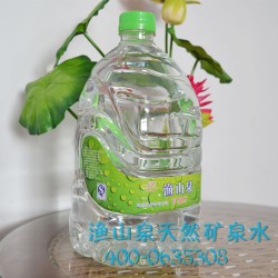 漁山泉天然礦泉水 養(yǎng)生泉水 口感純正 4.5L*4瓶品質(zhì)保障