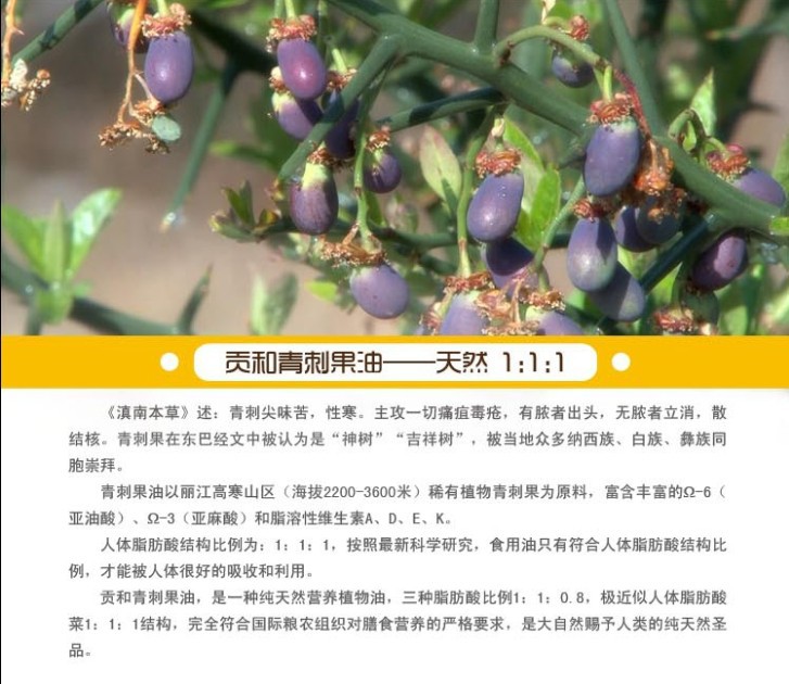 廠家批發(fā)麗江貢和供應(yīng)純天然青刺果油500ml*2禮盒高端食用油經(jīng)銷
