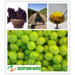 葡萄籽油貼牌  葡萄籽油代工  食用植物油