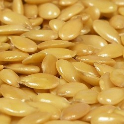 內(nèi)蒙古黃金亞麻籽 養(yǎng)生堂推薦 非轉(zhuǎn)基因胡麻籽 廠家批發(fā)產(chǎn)地直供