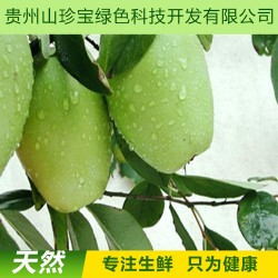 【火熱預(yù)訂】基地自產(chǎn) 貴州高原新鮮特級優(yōu)特 野木瓜  批發(fā)團(tuán)購