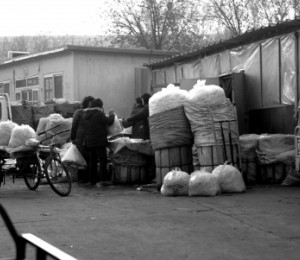 “黑作坊”制售豆芽使用6種化學(xué)藥劑