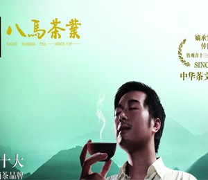 八馬茶葉首創(chuàng)現(xiàn)實版“開心茶園”