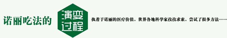 諾麗果吃法的演變過(guò)程