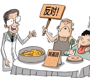 農(nóng)業(yè)部明確轉(zhuǎn)基因發(fā)展路線：最后才是主糧作物