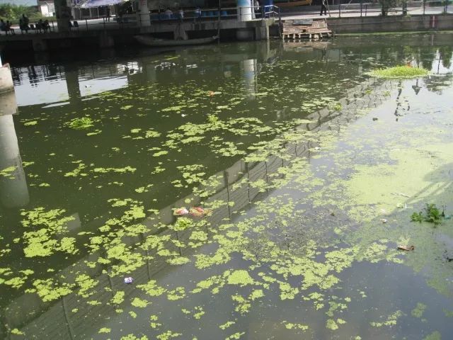 城市黑臭河道如何治理？河道黑臭水體治理思路