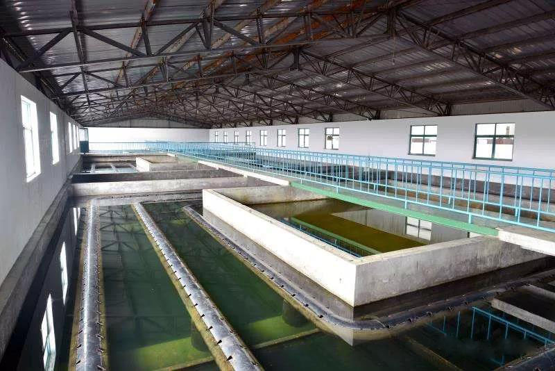 什么是制糖廢水？制糖廢水處理技術(shù)