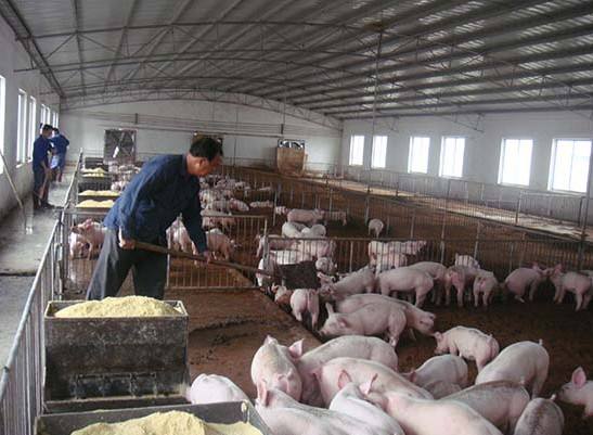 什么是養(yǎng)殖廢水？養(yǎng)殖廢水處理工藝